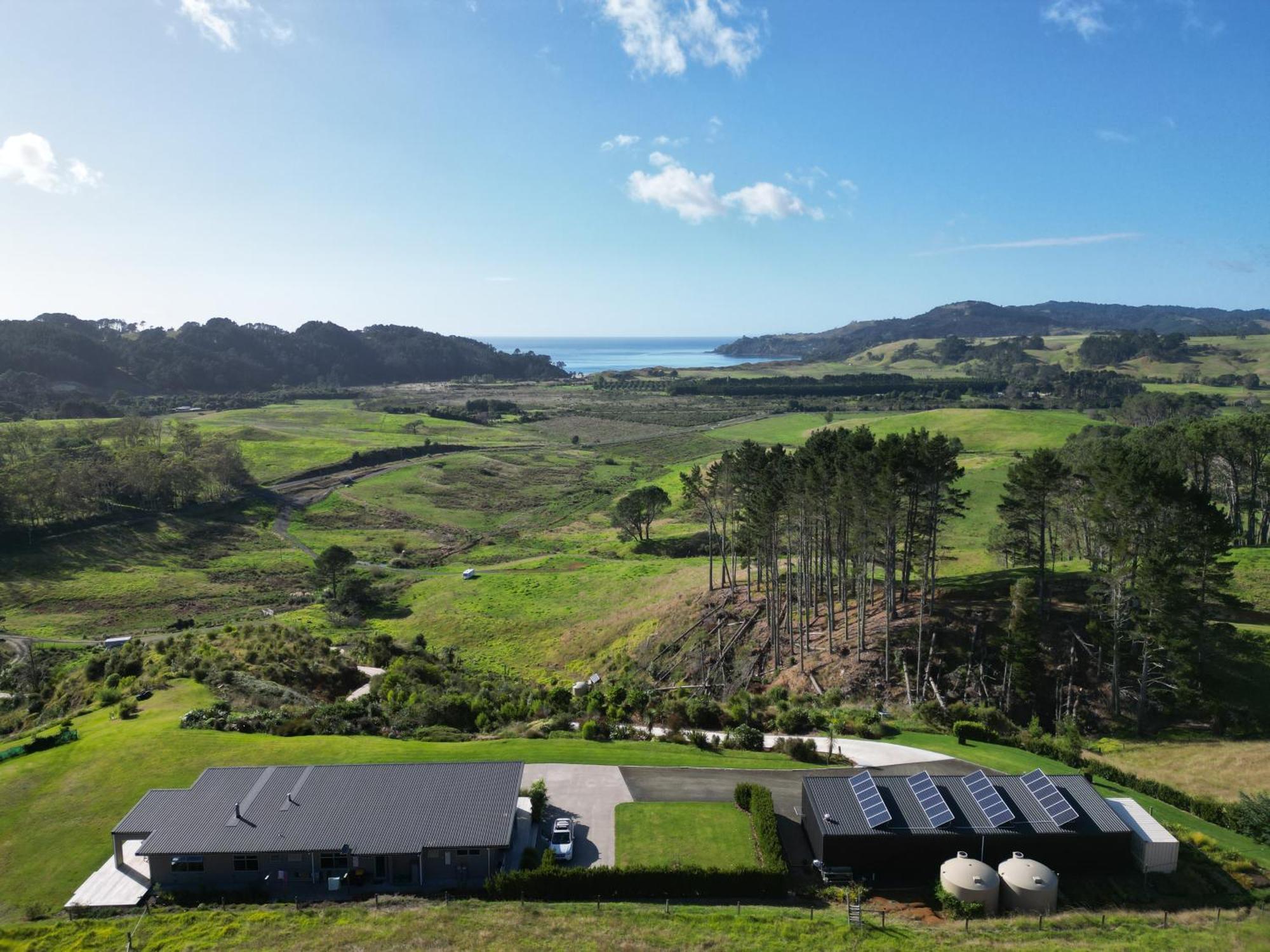 Hot Water Beach Lookout B&B Hahei Exteriör bild